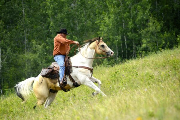 Saskatchewan: Ausritt mit dem Büffel-Cowboy